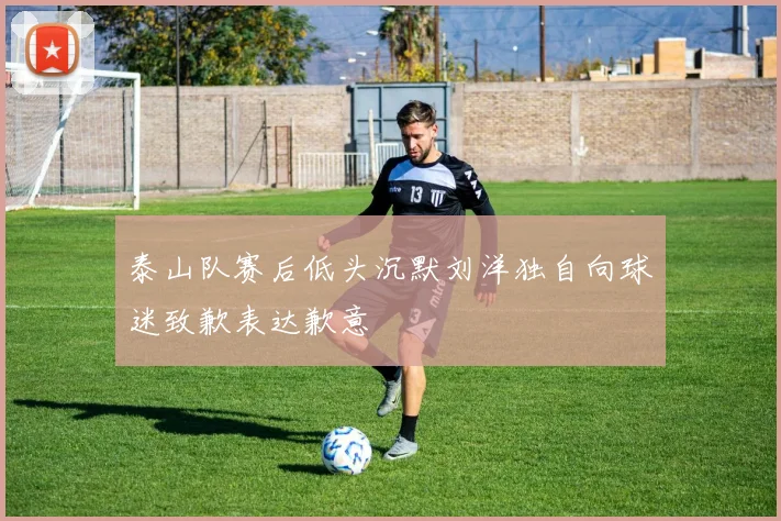 泰山队赛后低头沉默刘洋独自向球迷致歉表达歉意